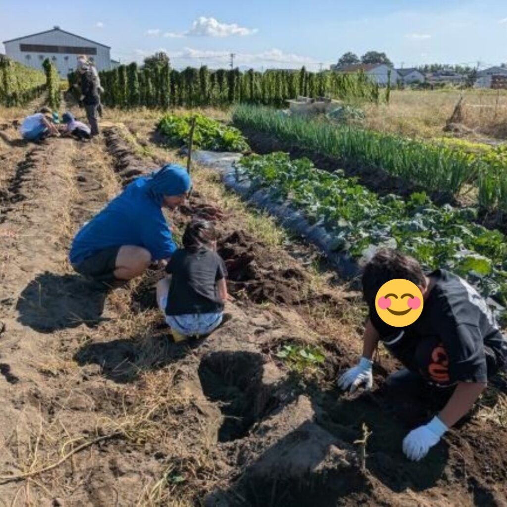 畑に埋まっているさつま芋を探している、男性と子どもたちの写真