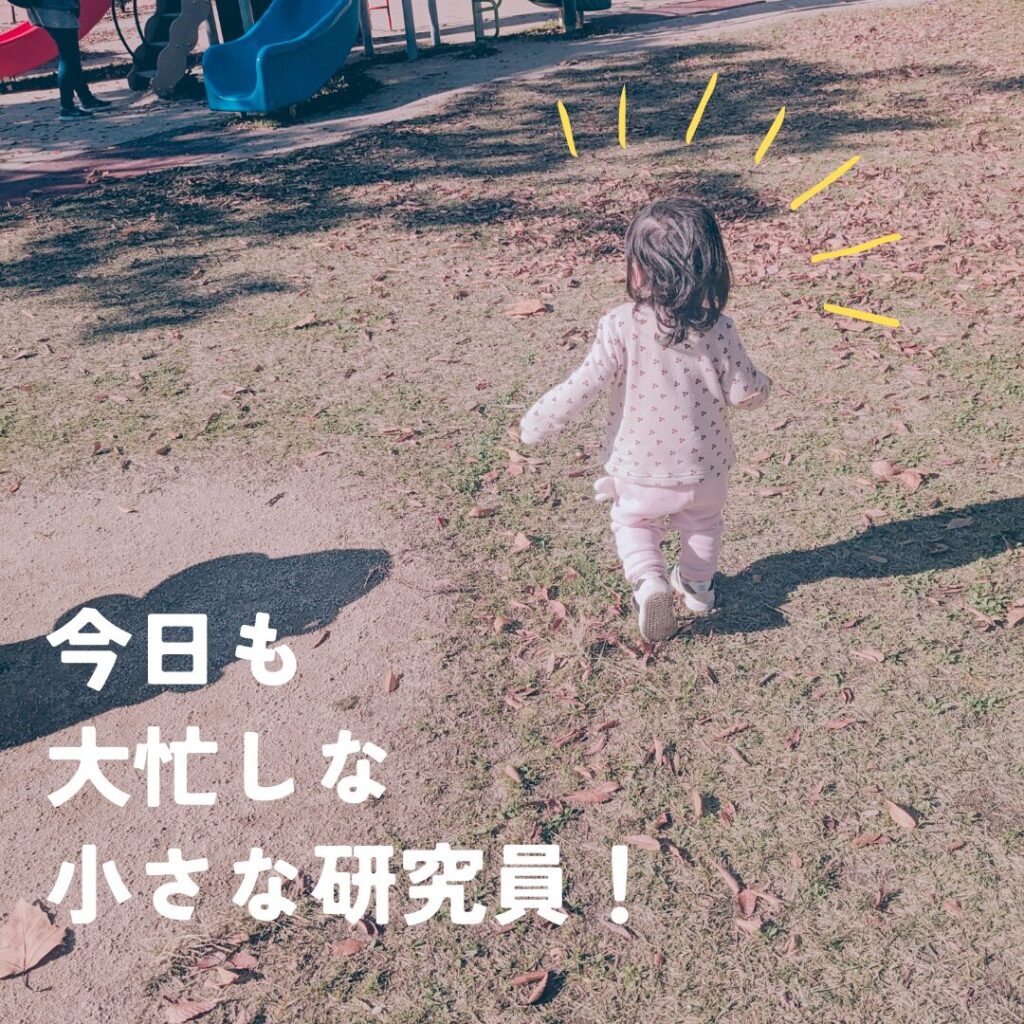 公園で歩いている１歳の女の子の後ろ姿